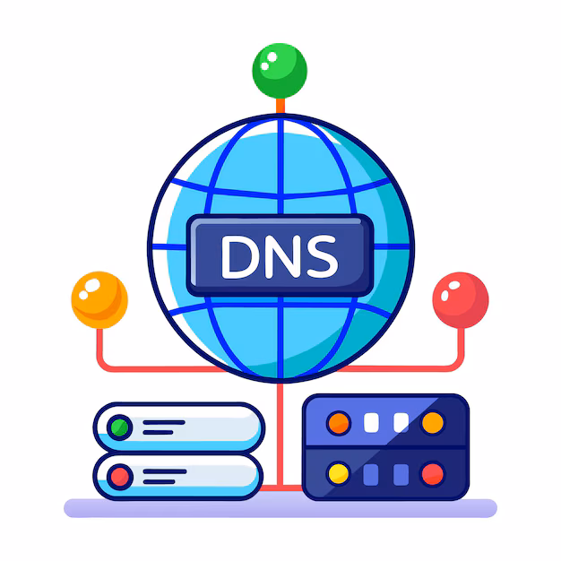 DNS Image